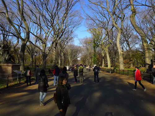 NYC_2012-11-22 13-53-19_P1070549